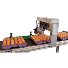 Load image into Gallery viewer, EP-121 Coding Machine - 1 Printhead