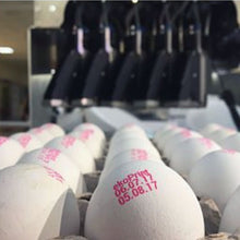 Load image into Gallery viewer, EP 206 Egg Coding Machine - 6 Printheads