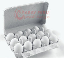 Load image into Gallery viewer, 15 Premium Pulptray - 75 Pcs/Bundle