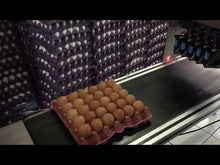 Load and play video in Gallery viewer, EP-205 Egg Coding Machine