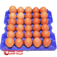Load image into Gallery viewer, importedsarayeggbrownlarge30_sx12traysunpacked