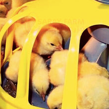 Load image into Gallery viewer, PAN Feeding Systems