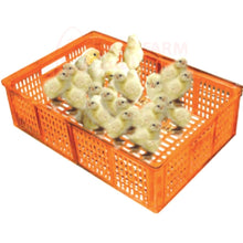 Load image into Gallery viewer, Plastic Chicks Boxes